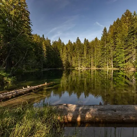 Almhuetten Sonnblick & Almfried Holiday home *