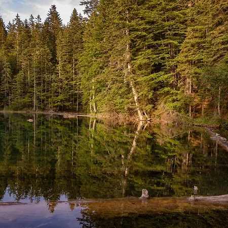 Almhuetten Sonnblick & Almfried * Sonnenalpe Nassfeld