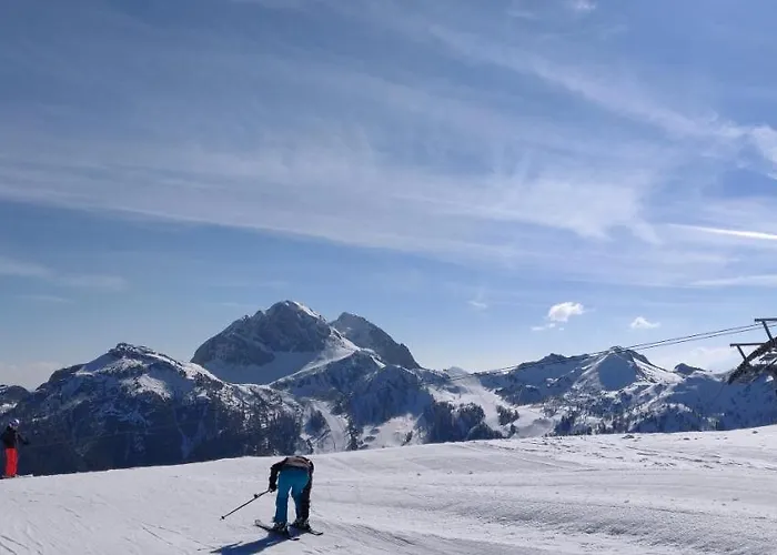 Almhuetten Sonnblick & Almfried *