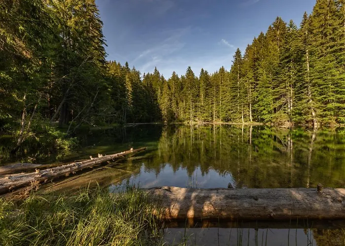 Almhuetten Sonnblick & Almfried Tatil Evi *